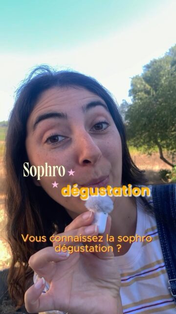 Sophro-Dégustation co-animée avec @lesdegust_de_lisa au @domainepuech.vigneron avec les Ladieswine de Montpellier#sophrodegustation #sophrodégustationoenologique*À consommer avec modération*